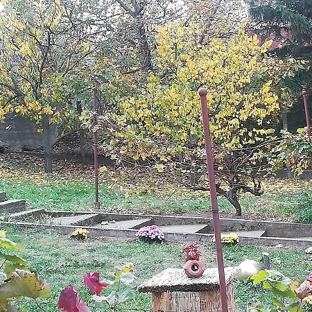 Lord House Smederevo